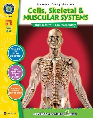 Anatomy Pictures Muscles And Bones Pdf Downloads / Anatomy And