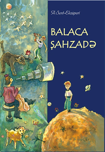 Image result for balaca şahzadə