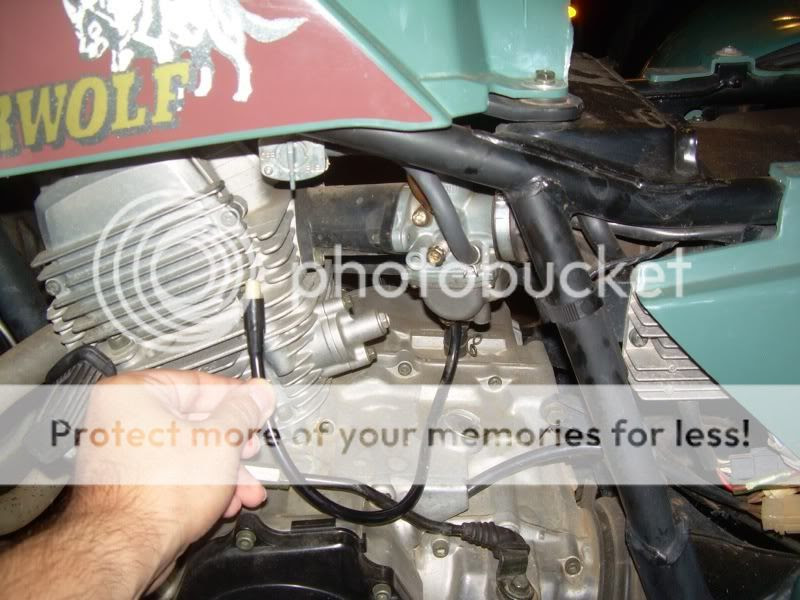 Timberwolf 250 4x4 Wiring Diagram