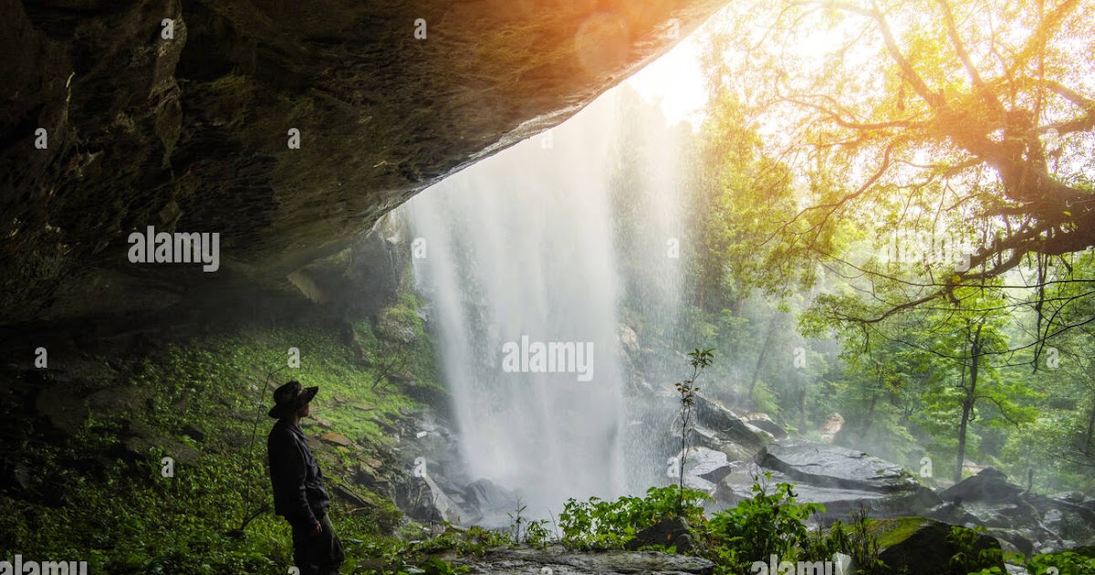 Waterfall Stream Between Green Trees Covered Forest Hd Use The