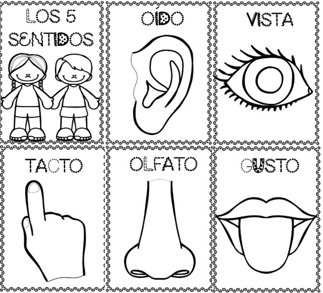 Los 5 Sentidos Para Colorear Para Ninos Colorear Para Niños