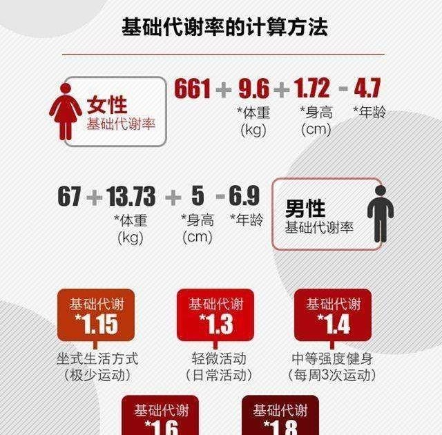 50 代 女性 基礎 代謝 Iefan Vaughan