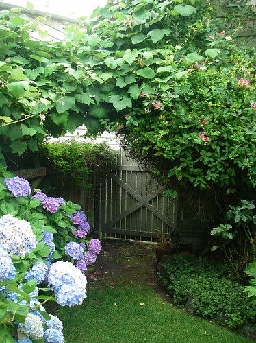 national arbor