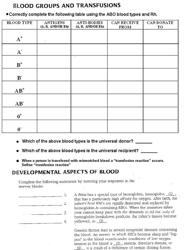 Coloring Pages Blood Answer Key Forensics coloringpages2019