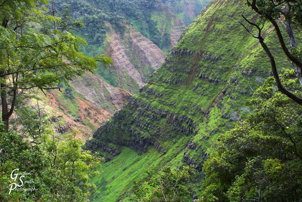 Poomau ditch trail kauai hiking poomau ditch trail