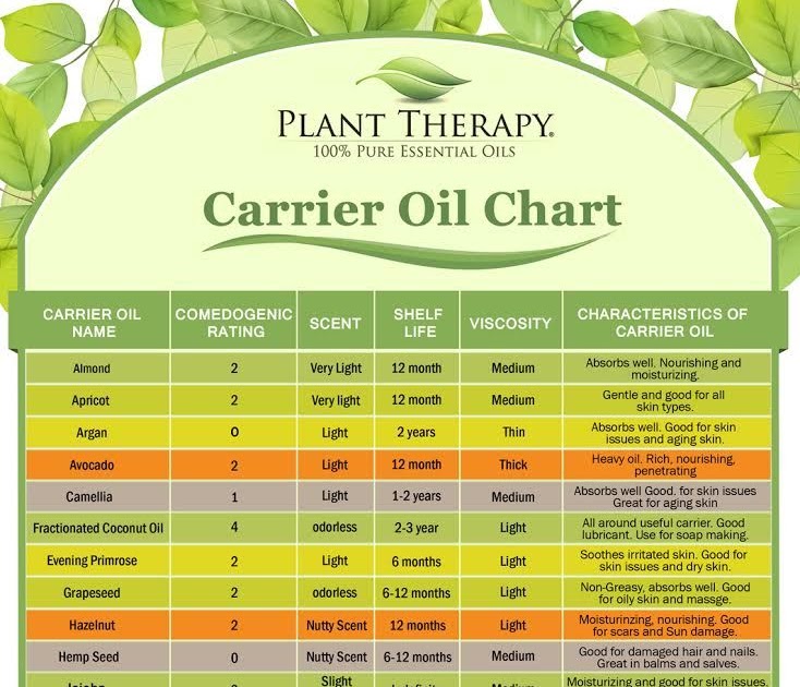 Essential Oils For Plants - Plants BN