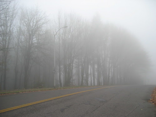 just below Council Crest Park