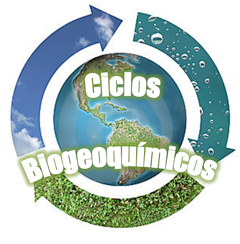 ¿quÉ Son Los Ciclos Biogeoquimicos Los Ciclos BiogeoquÍmicos