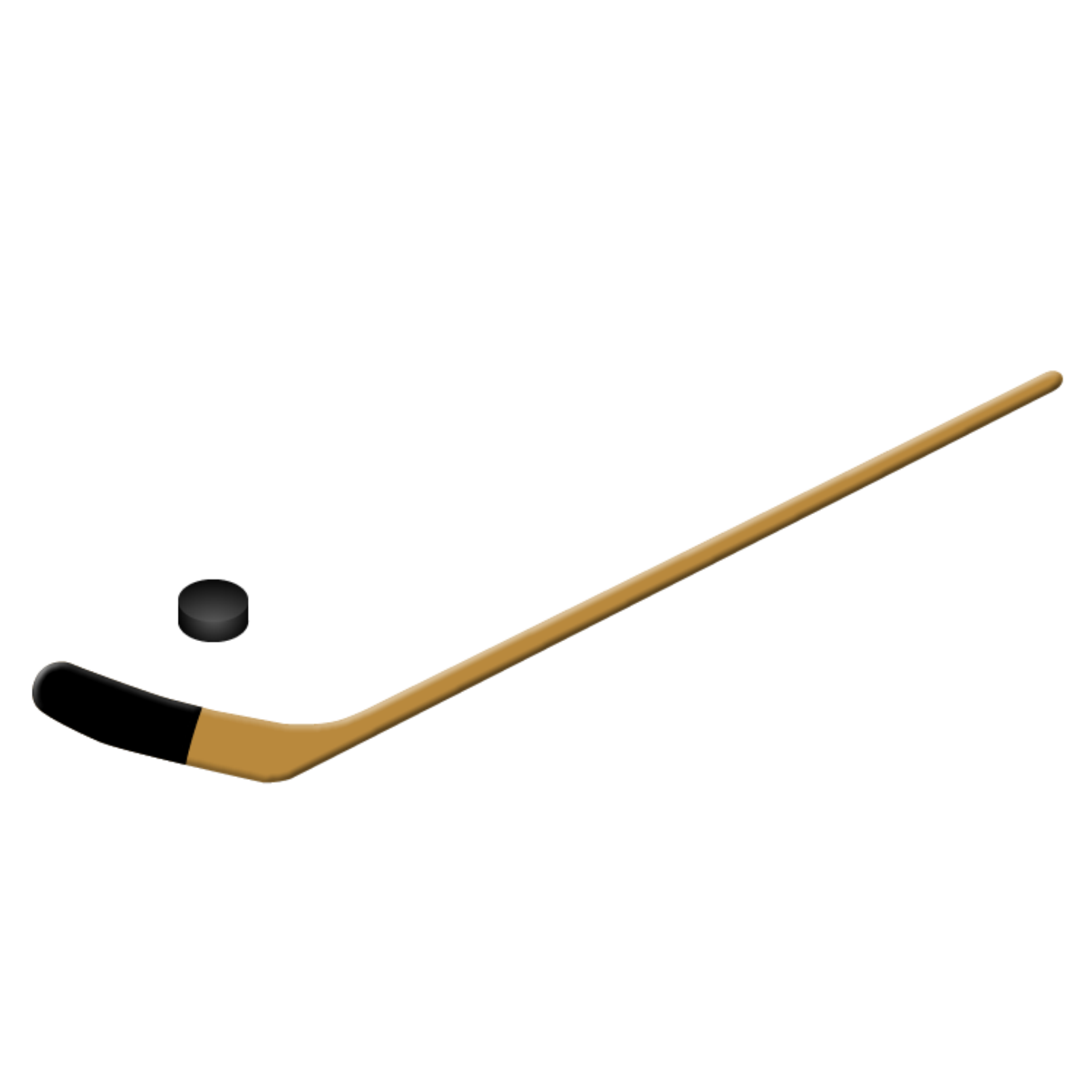 ICE HOCKEY STICK AND PUCK
