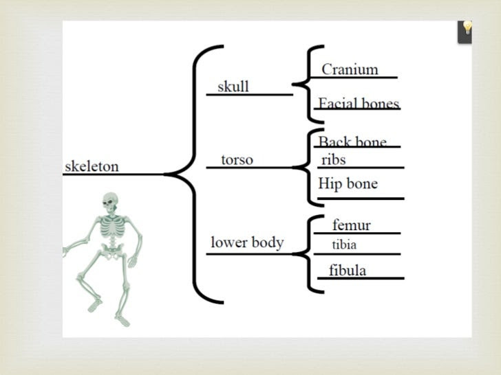 Contoh Analogi Akibat Sebab - Contoh L