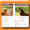 VOTIPETS CONCOURS PHOTO (Facebook) VOTIPETS CONCOURS PHOTO (Facebook)