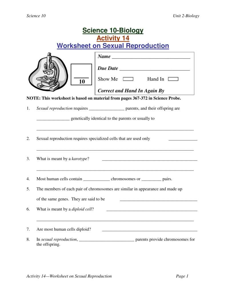 34 Overview Cell Reproduction Worksheet Answers Free