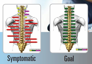 Skeleton Poster Human Body Anatomy Skeletal Wall Chart