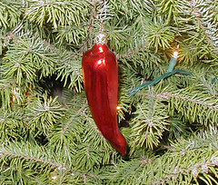 Chili Pepper