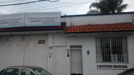 Centro de Estudios de Opinión y Analisis