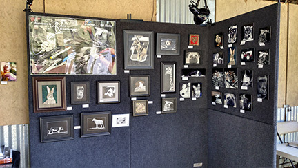 Ann Ranlett's sisplay at 2017 Loomis Loop