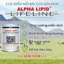 Alpha Lipid Hải Phòng