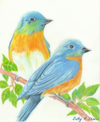 Featured image of post Bird Drawing With Colour Simple Free download 62 best quality bird drawing at getdrawings