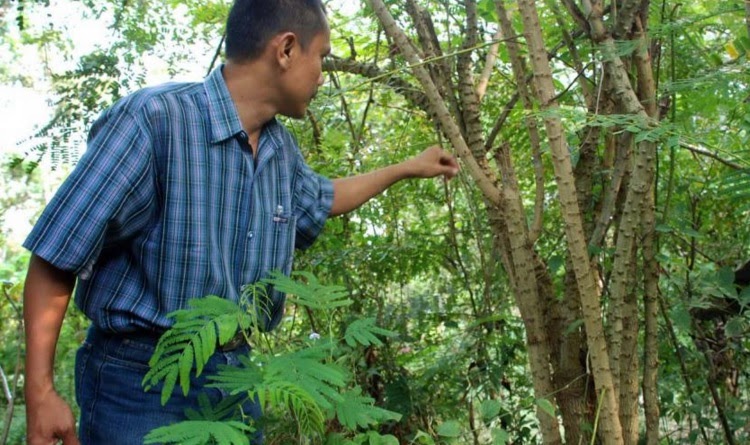 Rumah Kayu  Bahasa  Inggris  Omong v