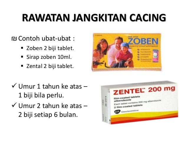 Ubat Cacing Untuk Manusia - Notable l