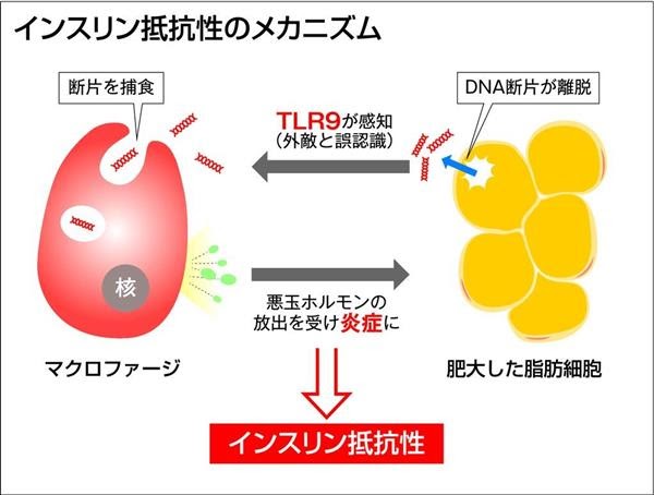 ツムツ ム スコア ボム 出し 方