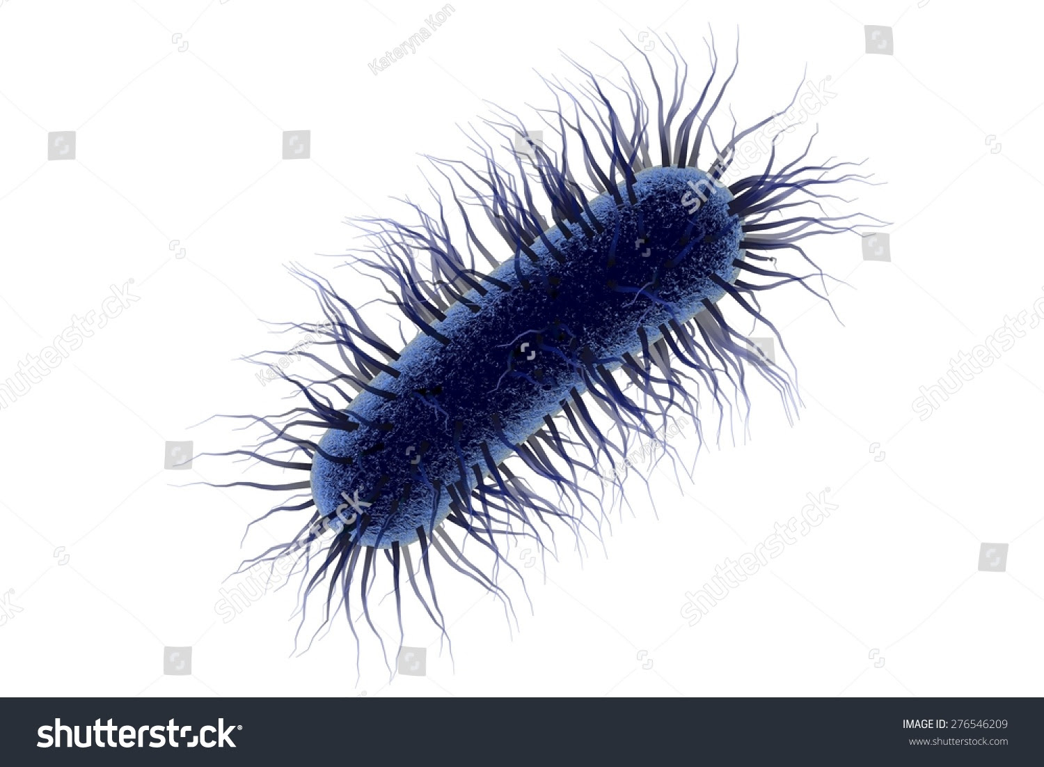 Drawing Of E Coli Komseq