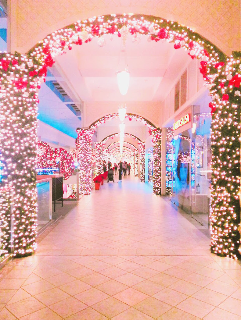 November 2016 photodiary | chainyan.co