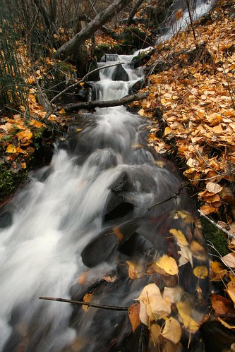 fall-creek