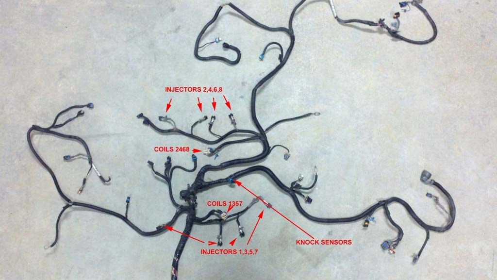 39 Ls Standalone Wiring Harness Diagram - Wiring Diagram Online Source