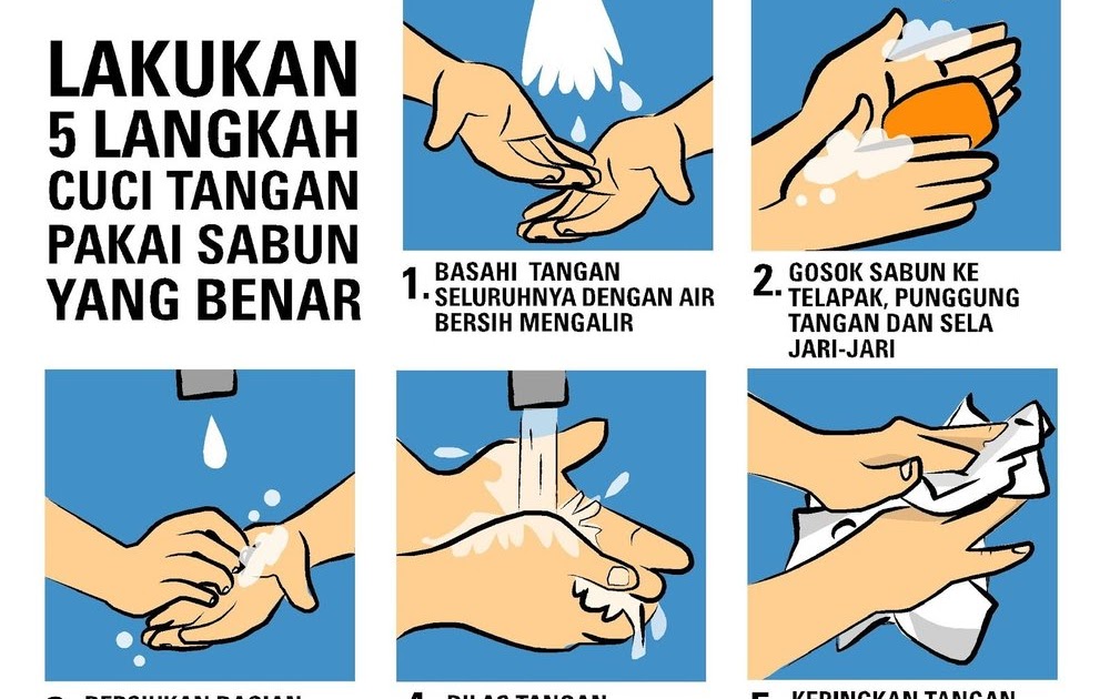 Vektor Tegak Cara Cuci  Tangan  Vektor