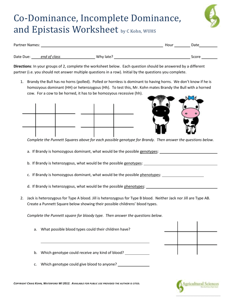 codominance-worksheet-blood-types-answer-key