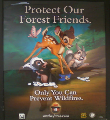 Bambi Disney prevent forest fires poster