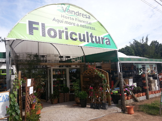 Floricultura Vandressa Garden & Cia