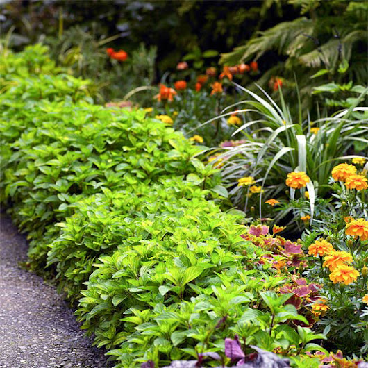 21 Easy Ideas to Beautify Your Yard