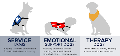 emotional support dog petfinder