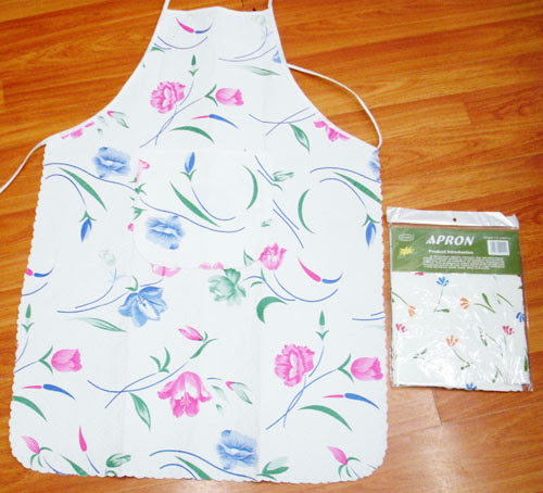 Incredible Girls Pics: dollar store items