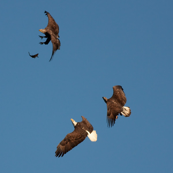 Photo & Video Sharing by SmugMug Photo & Video Sharing by SmugMug