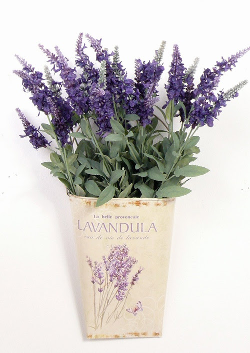 Lavanda
