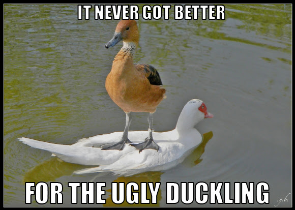Hosted by imgur.com