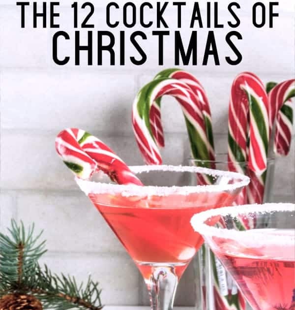 Champain Christmas Beverages : 20 Best Champagne Cocktails ...