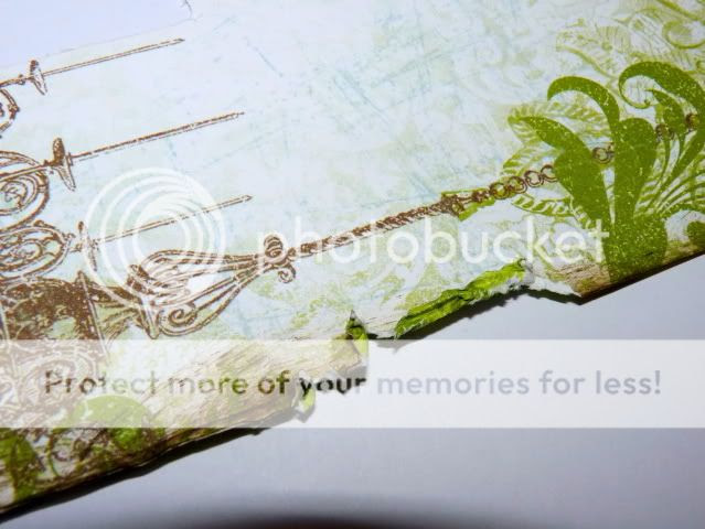 Posted Image