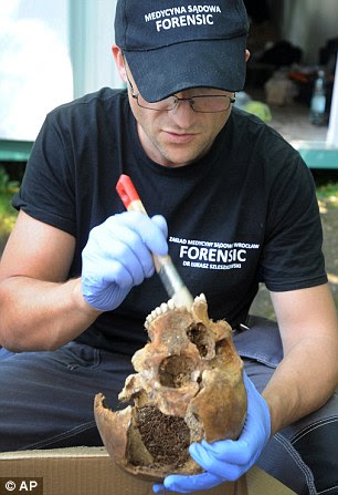 Difficult: A forensic worker cleans a skull during the excavation 