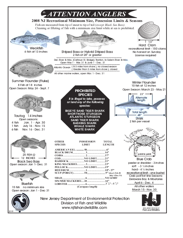 Black Sea Bass Regulations 2018