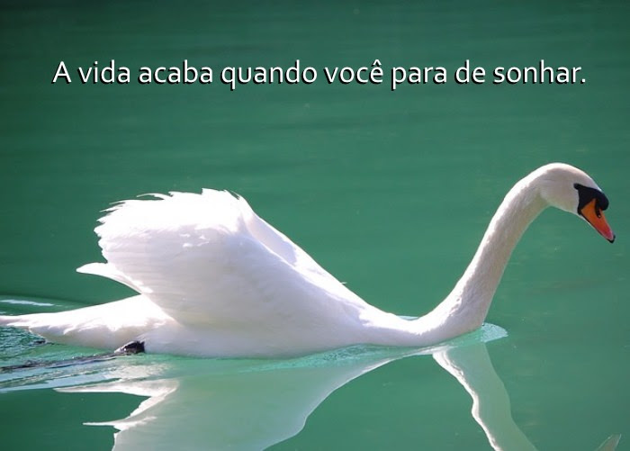 Os Segredos da Idade