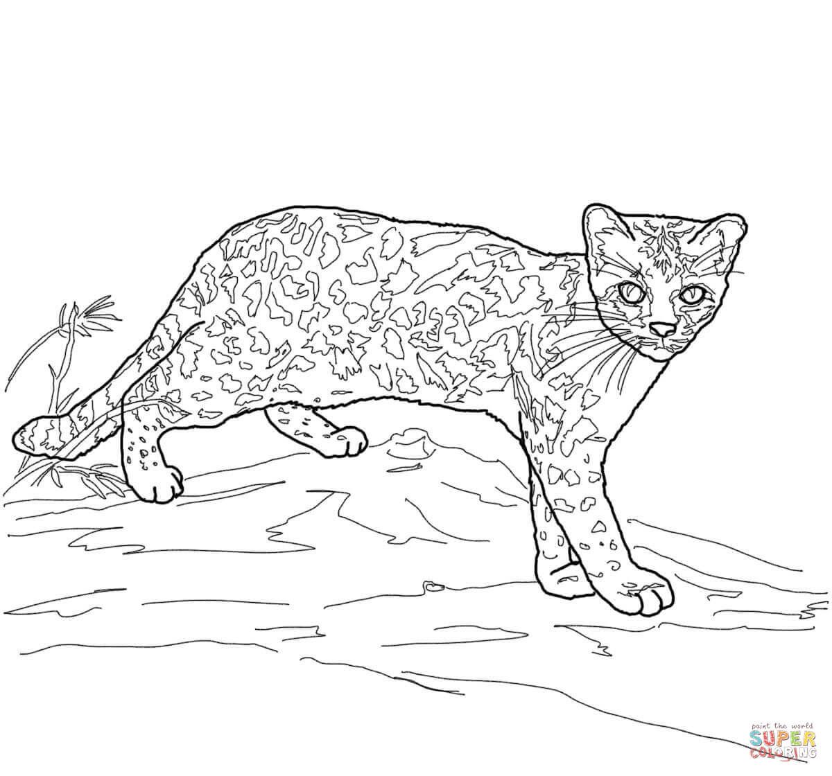 Download 314+ Mammals Wild Cats Leopard Cat Coloring Pages PNG PDF File ...