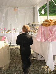 Ring Bearer