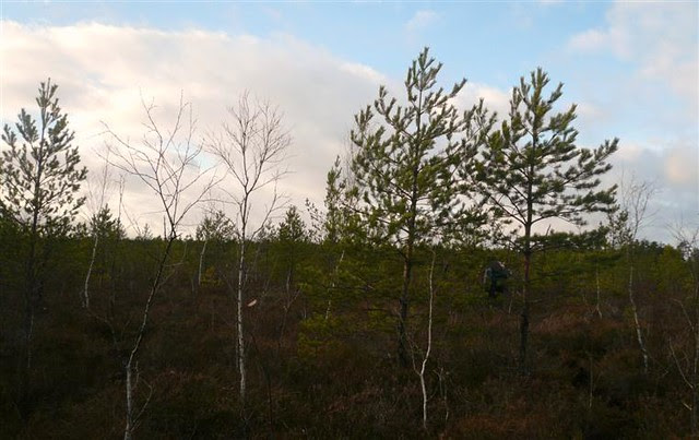 P1240966