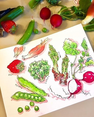 印刷可能 春 野菜 イラスト Free Cute Illustrations Stock Illustration