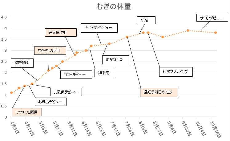 200以上 カニンヘン ダックス フンド 体重推移 143089カニンヘン ダックス フンド 体重推移