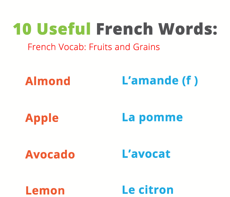 French Sentence Translation Worksheets